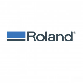 Roland HEAD REFRESHER&VT-22 SV für LEF-200 
